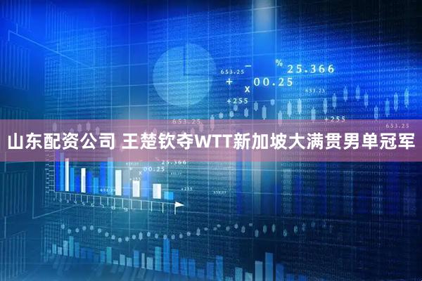 山东配资公司 王楚钦夺WTT新加坡大满贯男单冠军