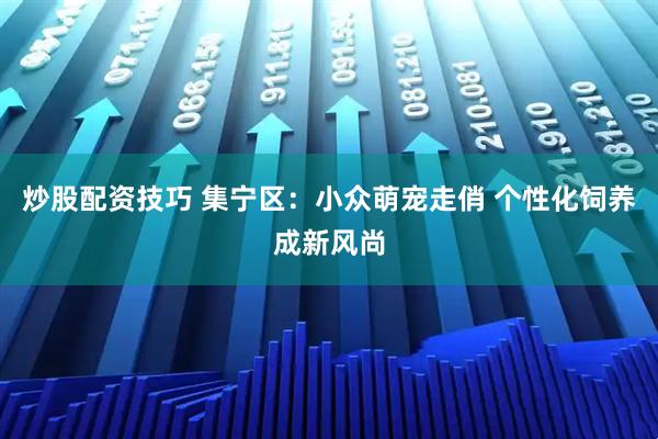 炒股配资技巧 集宁区：小众萌宠走俏 个性化饲养成新风尚